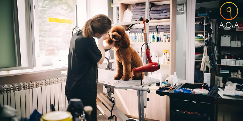 How a Business Promotion Platform Can Increase Your Pet Salon’s Visibility in 2025